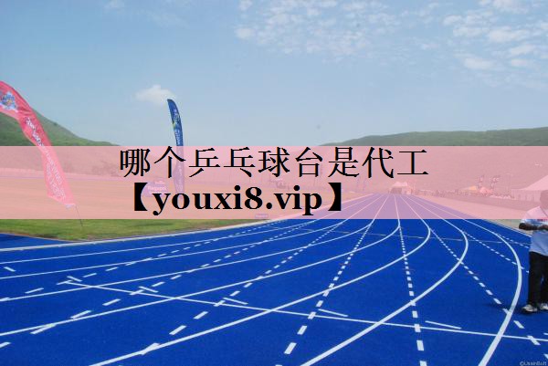 哪个乒乓球台是代工