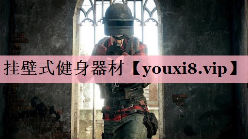 挂壁式健身器材