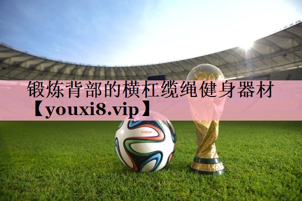 <strong>锻炼背部的横杠缆绳健身器材</strong>