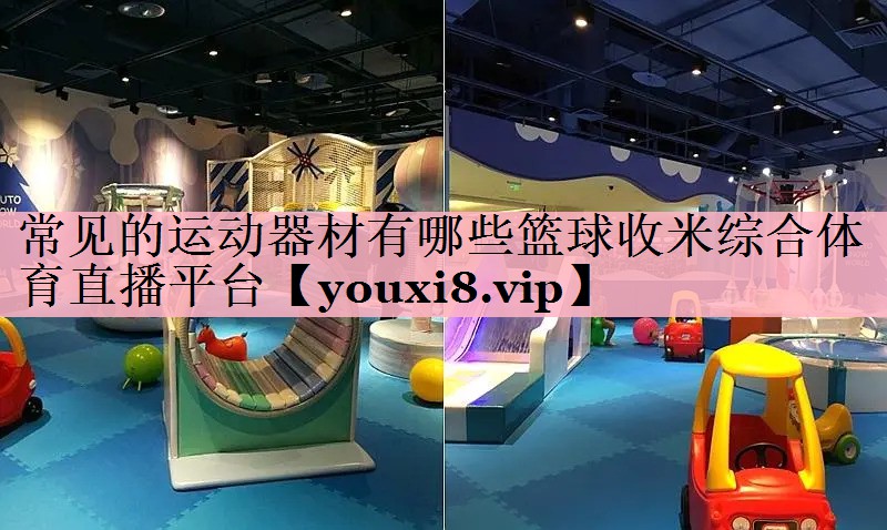 <strong>常见的运动器材有哪些篮球收米综合体育直播平台</strong>
