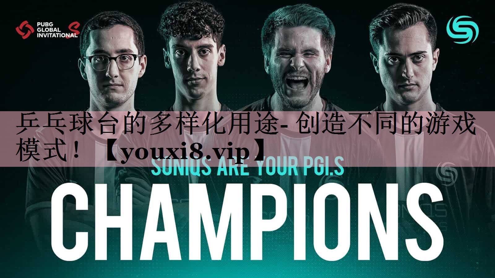 <strong>乒乓球台的多样化用途- 创造不同的游戏模式！</strong>