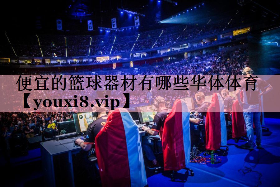 便宜的篮球器材有哪些华体体育