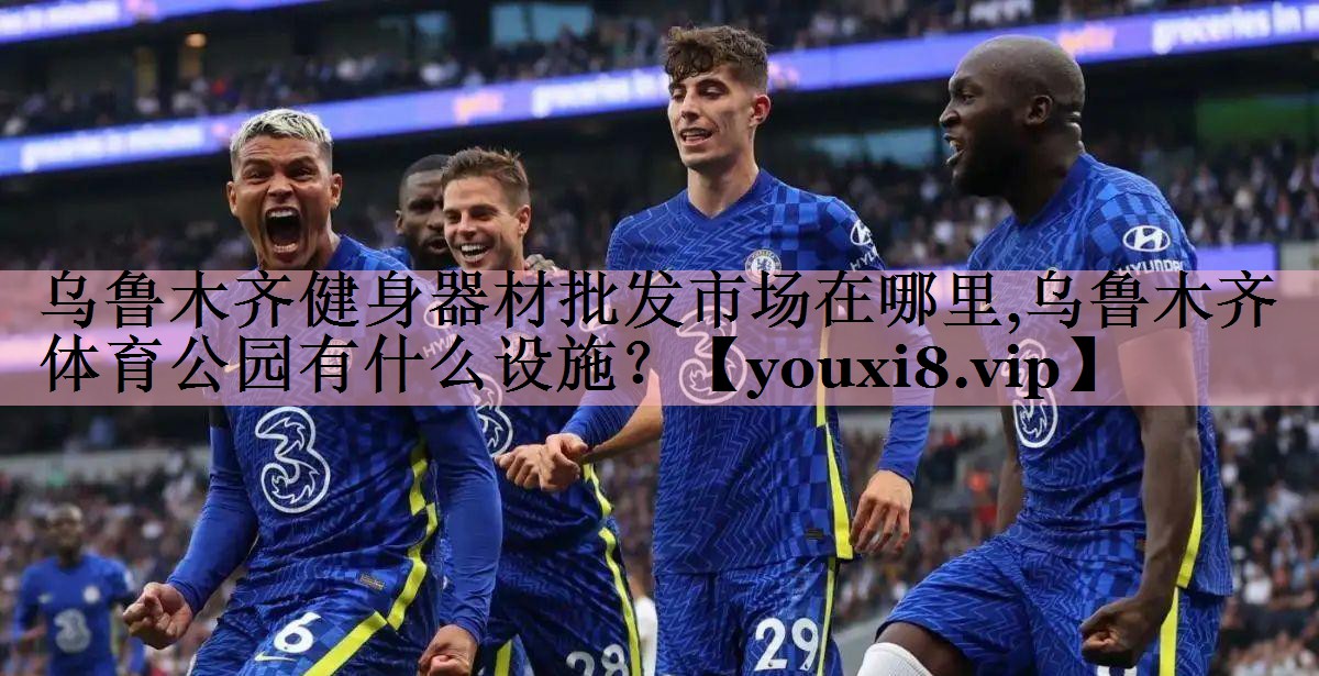 <strong>乌鲁木齐健身器材批发市场在哪里,乌鲁木齐体育公园有什么设施？</strong>