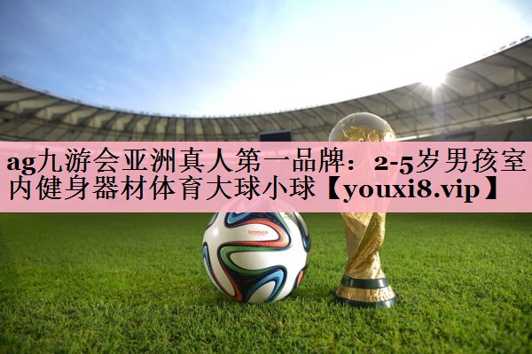 ag九游会亚洲真人第一品牌：2-5岁男孩室内健身器材体育大球小球