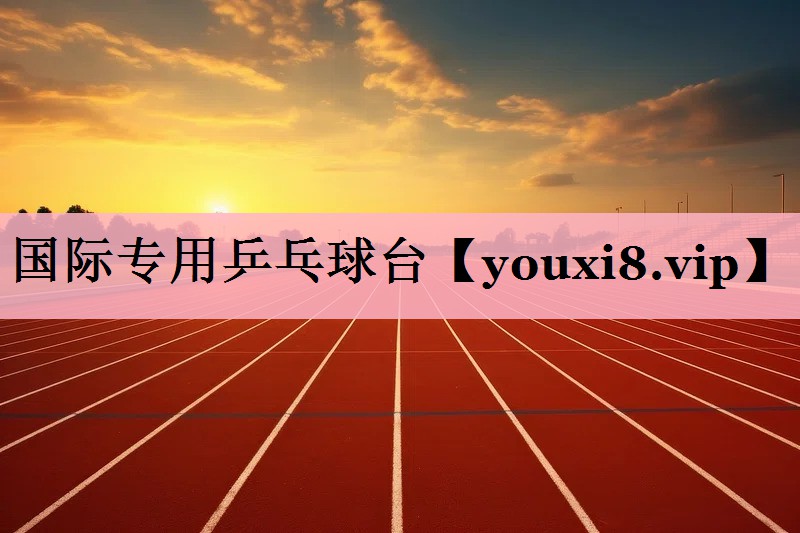 国际专用乒乓球台