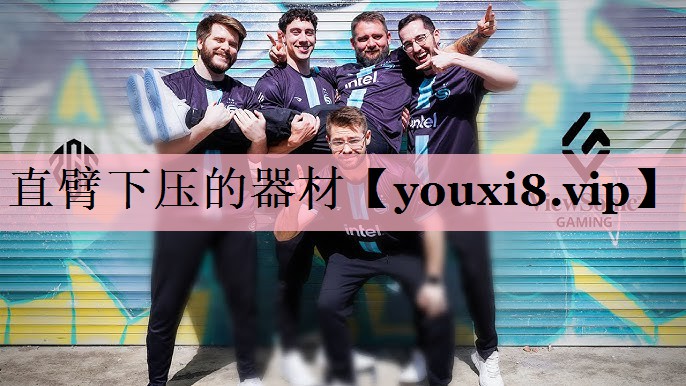 直臂下压的器材