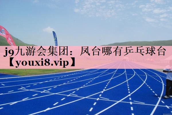 凤台哪有乒乓球台