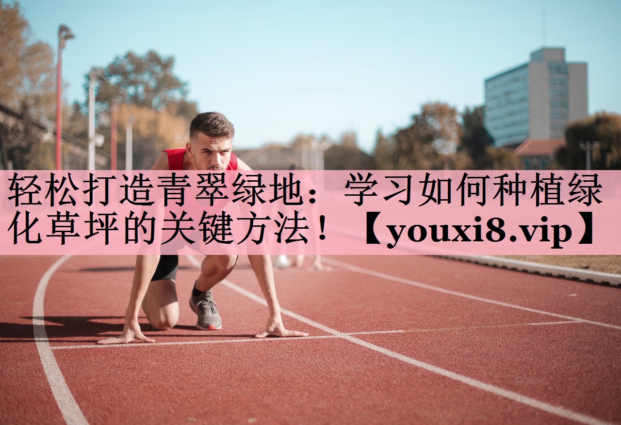 轻松打造青翠绿地：学习如何种植绿化草坪的关键方法！
