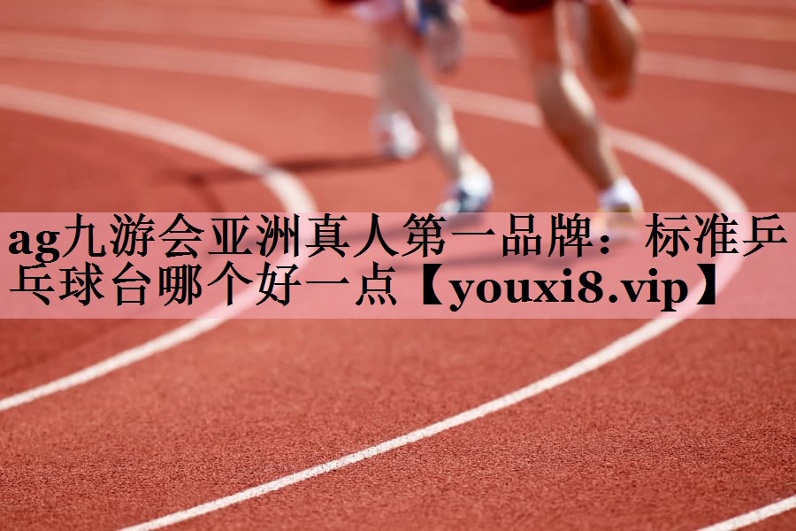 标准乒乓球台哪个好一点
