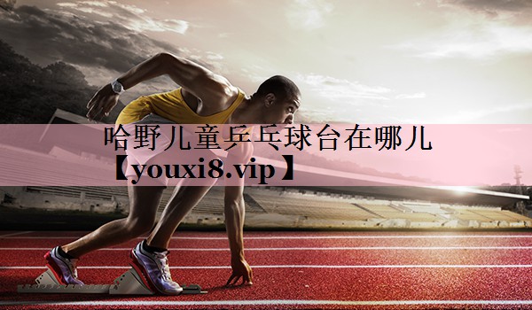 哈野儿童乒乓球台在哪儿