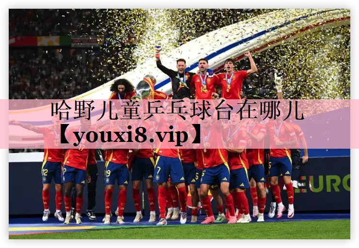哈野儿童乒乓球台在哪儿