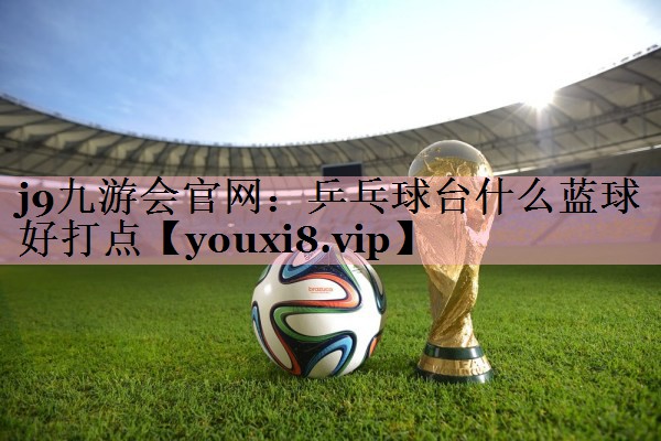 乒乓球台什么蓝球好打点