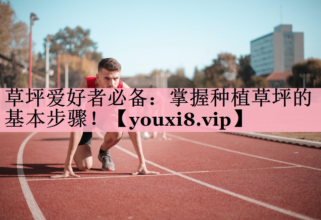 草坪爱好者必备：掌握种植草坪的基本步骤！