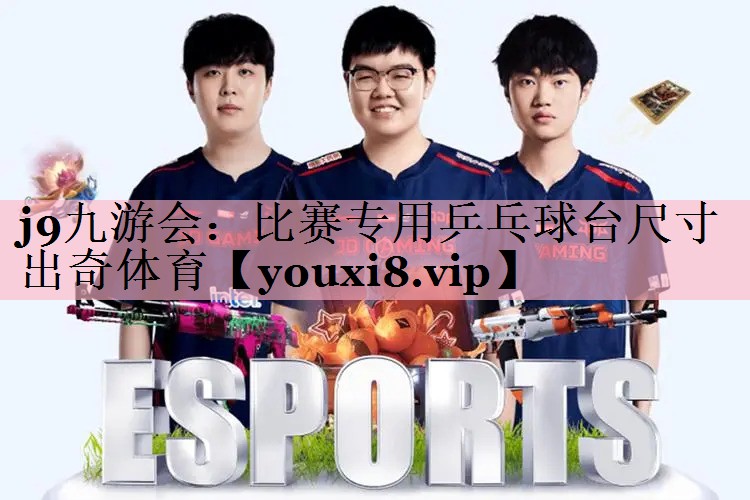 j9九游会：比赛专用乒乓球台尺寸出奇体育