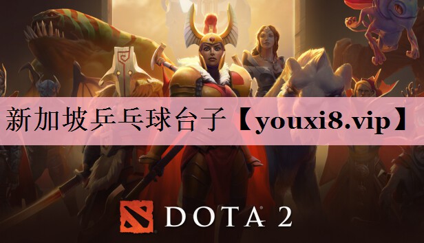 新加坡乒乓球台子
