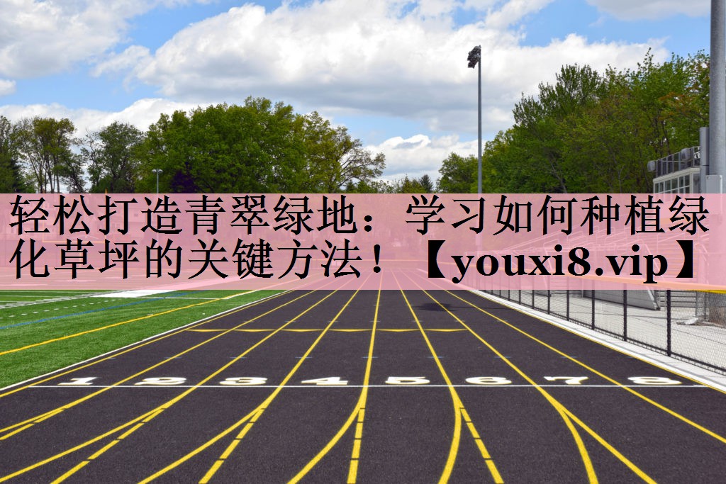 轻松打造青翠绿地：学习如何种植绿化草坪的关键方法！
