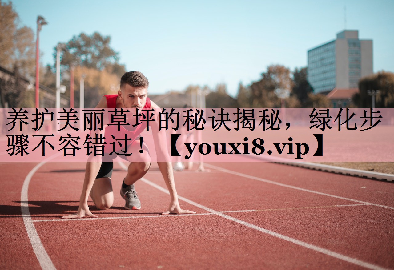 养护美丽草坪的秘诀揭秘，绿化步骤不容错过！