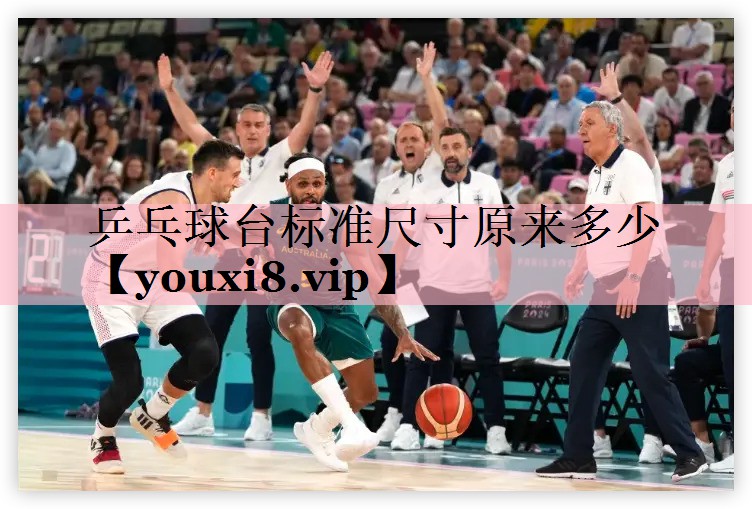 乒乓球台标准尺寸原来多少