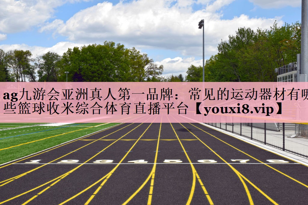 <strong>ag九游会亚洲真人第一品牌：常见的运动器材有哪些篮球收米综合体育直播平台</strong>