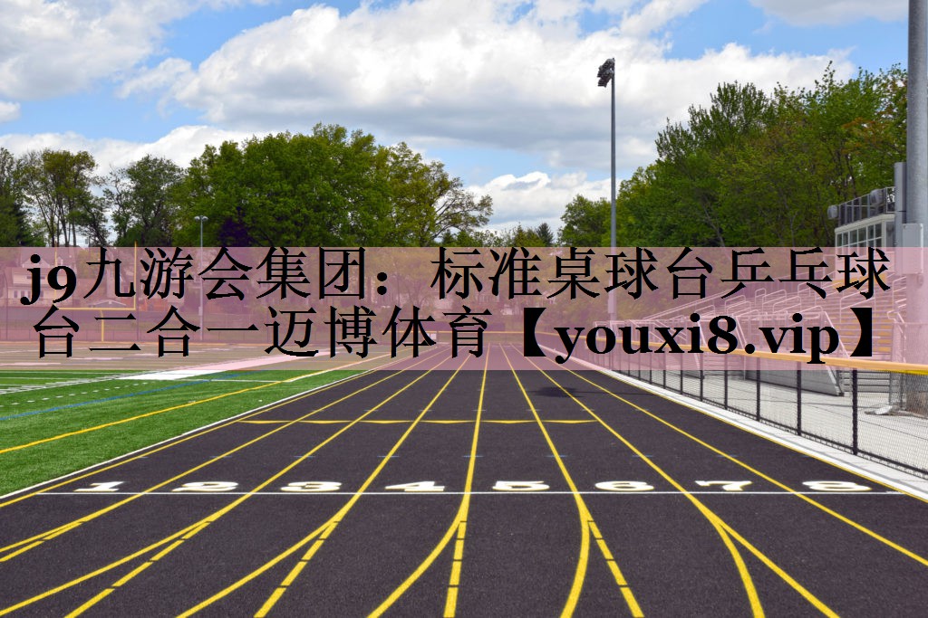<strong>j9九游会集团：标准桌球台乒乓球台二合一迈博体育</strong>
