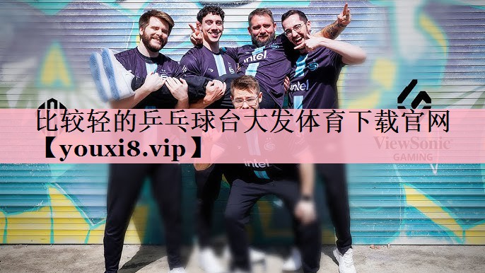 比较轻的乒乓球台大发体育下载官网