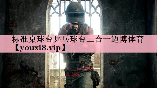 标准桌球台乒乓球台二合一迈博体育