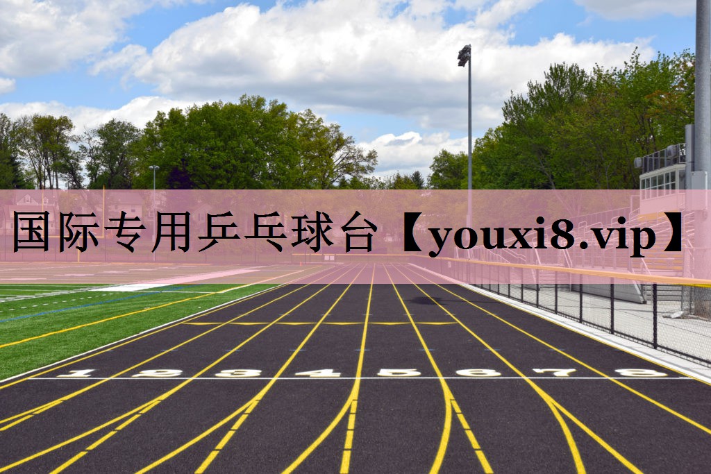 国际专用乒乓球台 国际专用乒乓球台